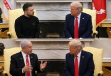 Trump Discusses Economic Partnerships with Zelenskyy and Netanyahu in White House Sessions