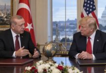 Erdoğan Seeks Economic Boost in Türkiye-US Business Relations Revamp